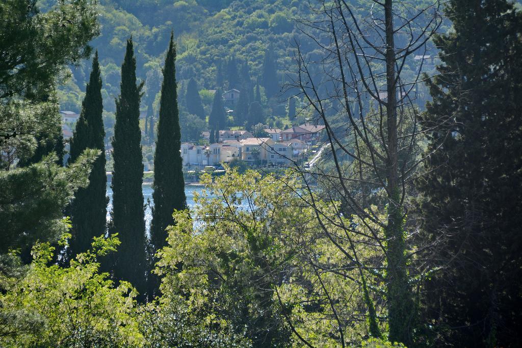 Apartments Dinko Zifra Tivat Exterior photo